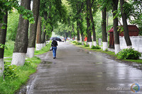 Весняний дощ у Гребінці: місто і парасольки