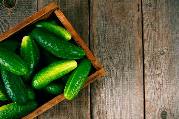 4 причини їсти огірки щодня