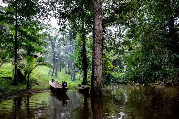 Відпустка в Нікарагуа: річка в тропічному лісі з каное