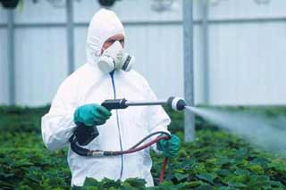 Навчання для працівників, які виконують роботи з пестицидами