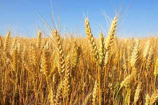 28 липня жінки можуть святкувати "свій" день і насолоджуватися відпочинком