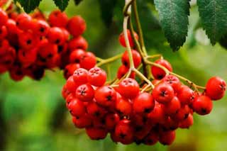 Якому заняттю треба присвятити 9 вересня, щоб бути здоровим увесь рік