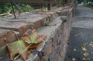 На Полтавщину сунуть заморозки