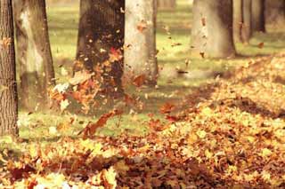 Чому 5 жовтня варто остерігатися сильного вітру і не можна їсти рибу