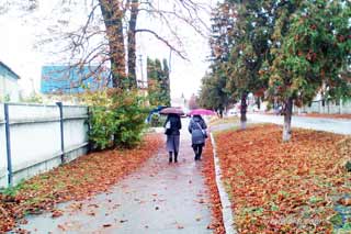 Запасаймось парасолями: Якої погоди чекати у Гребінці 26 жовтня