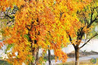 Найближчі дні на Полтавщині будуть теплими