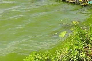 На Полтавщині з'ясовують обставини смерті прапорщика міліції