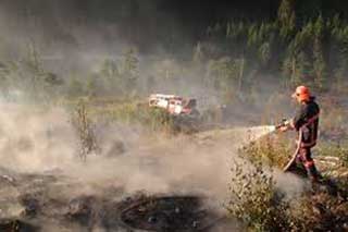 ДСНС України застерігає громадян не провокувати пожежі у екосистемах!
