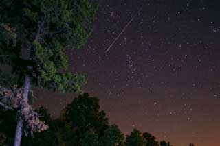 Зорепад Персеїди полтавці зможуть спостерігати 12 серпня