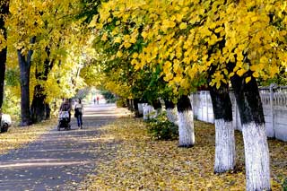 На наступному тижні до Гребінки прийде холодна осінь 