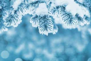 Новий рік: Вдягайте найкраще, святкуйте найвеселіше і в жодному разі не працюйте