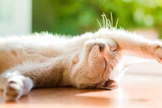 На Полтавщину повертається спека