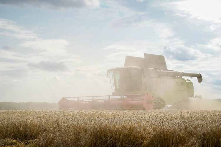 На Полтавщині тривають жнива