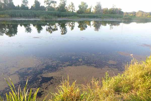 У річці Псел на Полтавщині виявили тіло 33-річної жінки