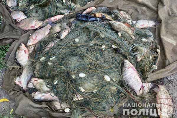 На Полтавщині браконьєри наловили риби на суму понад 850 тисяч гривень 