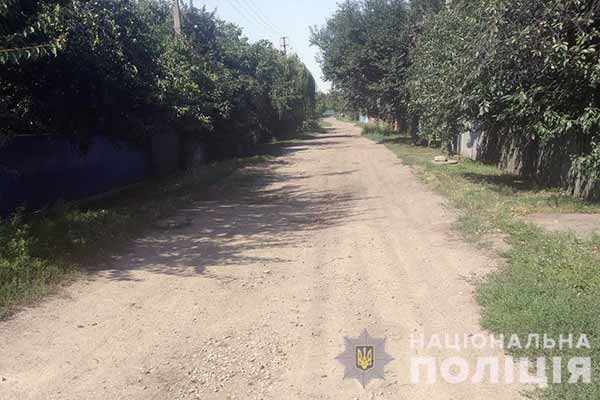 У Гребінці собака покусала дев'ятирічного хлопчика