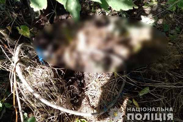 На Полтавщині відкрили кримінальне провадження за фактом жорстокого поводження з твариною