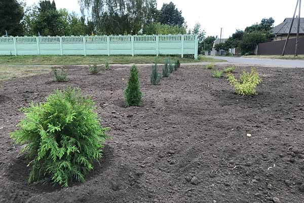 У Пирятині смітник перетворили на клумбу