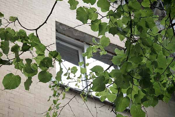 На Полтавщині за минулу добу двоє малолітніх дітей випали з балконів багатоповерхівок.