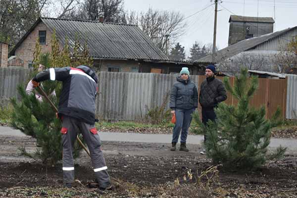 На місці чагарників у Пирятині висадили зелені насадження
