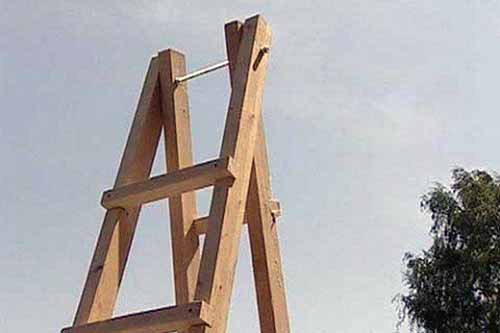 Трагічна смерть на Полтавщині: чоловік впав з драбини під час спилювання дерева