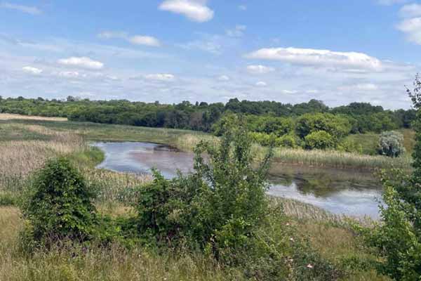 На Полтавщині у водоймі виявили тіло 69-річної жінки