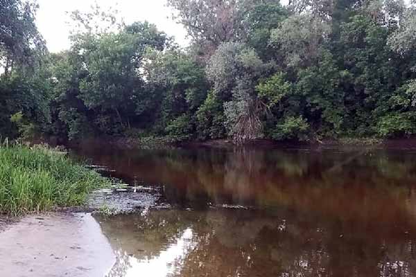 На Полтавщині у Ворсклі потонула 9-річна дівчина