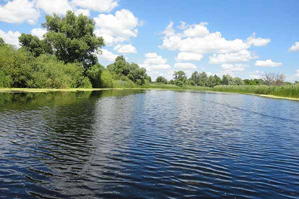 незаконний вилов риби на Пирятинщині