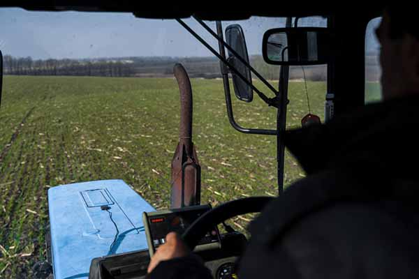 На Полтавщині аграрії майже завершили посів ранніх зернових і зернобобових культур