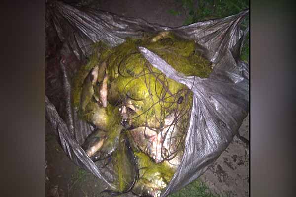 На Полтавщині браконьєри виловили риби на майже пів мільйона гривень