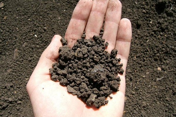  забруднення земель