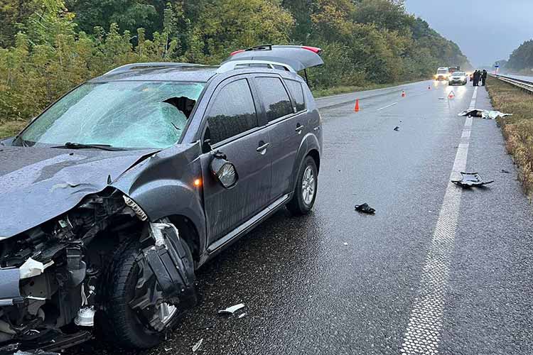 Перетинав дорогу в невстановленому місці: на Полтавщині легковик пішохода 
