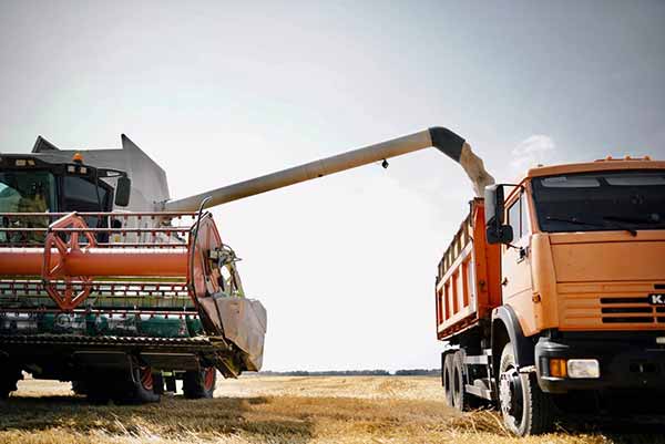 Аграрії Полтавщини намолотили близько 800 тисяч тонн нового врожаю
