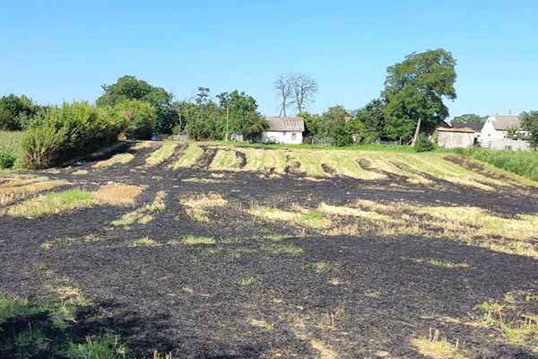 На Полтавщині під час спалення сухої трави загинув літній чоловік