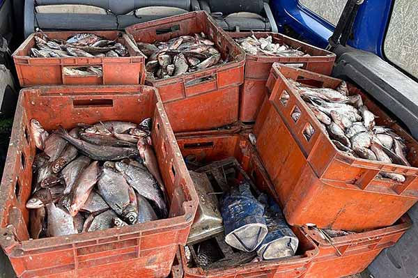 На Полтавщині поліцейські виявили місцевого чоловіка, який перевозив понад 320 кілограмів риби без документів