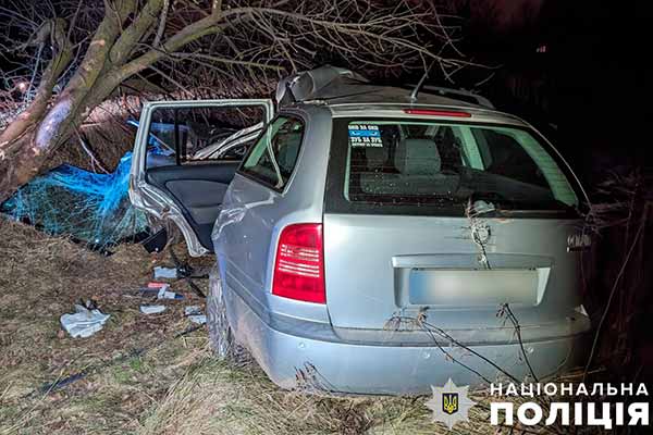 На Полтавщині автомобіль SKODA OCTAVIA влетів у дерево