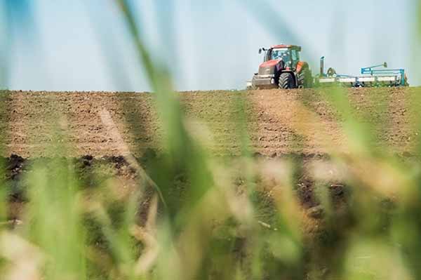 конфісковано земельну ділянку в громадянки рф