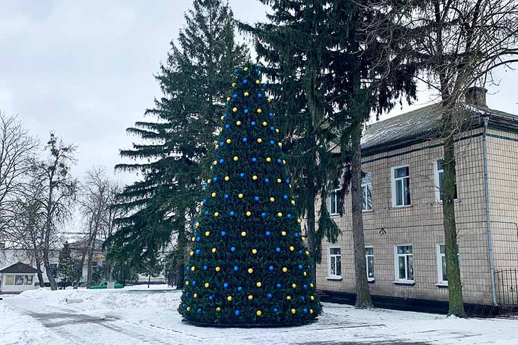 У Пирятині встановили святкову ялинку без жодної копійки бюджетних коштів