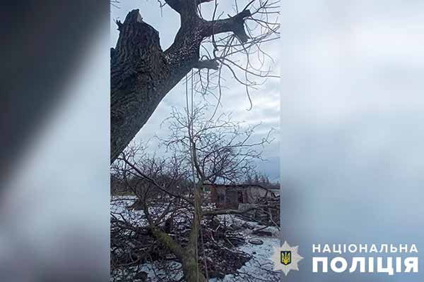 На Полтавщині чоловік впав з дерева й помер