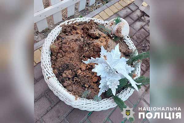 У Полтаві чоловік вирвав «ялинку» з вазона, що прикрашала подвір’я закладу харчування