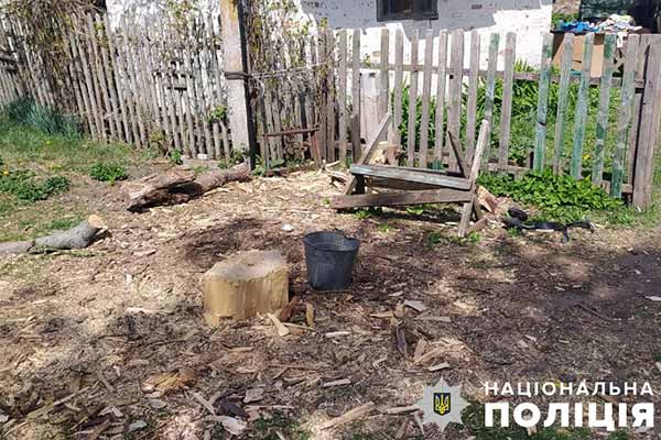 На Полтавщині хлопчик травмував трирічного брата сокирою
