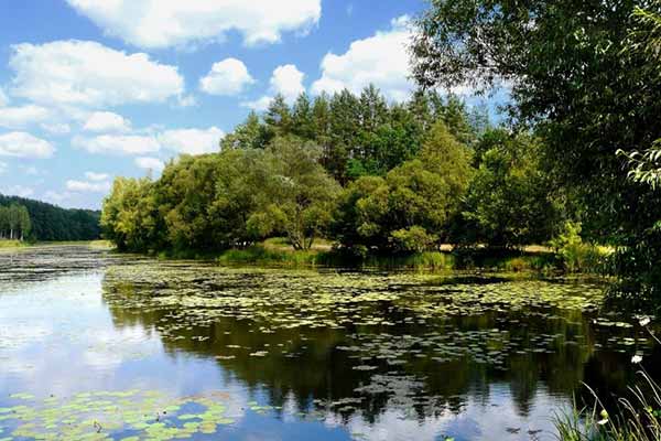Підприємця зобов’язали повернути громаді на Полтавщині ставок