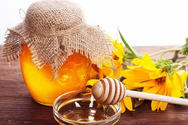 медовий форум