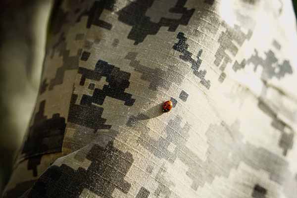 підсилення оборонців 