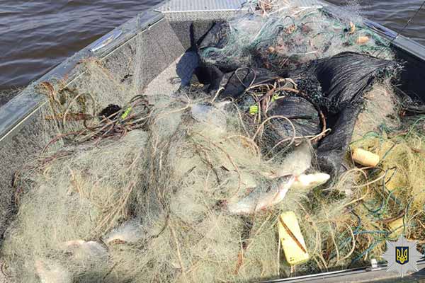 нерестова заборона на вилов рибних біоресурсів