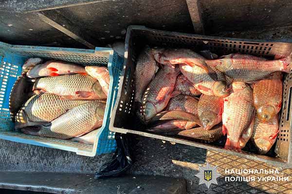 На Полтавщині поліція розслідує факт незаконного вилову риби з використанням промислового судна
