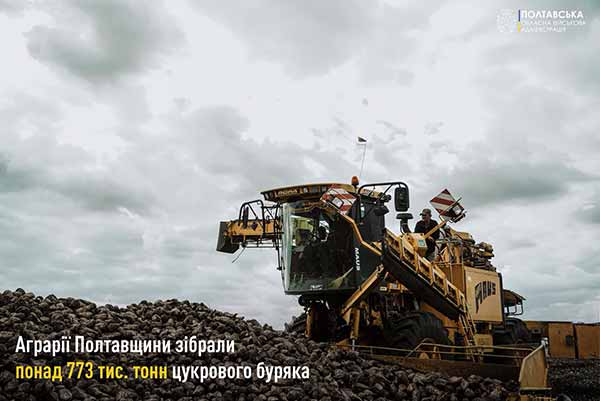 На Полтавщині триває збір кукурудзи і цукрового буряка