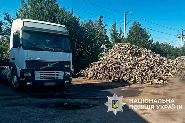 На Полтавщині судитимуть організовану групу «чорних лісорубів»