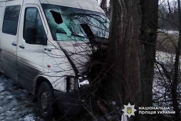 Volkswagen LT врізався в дерево
