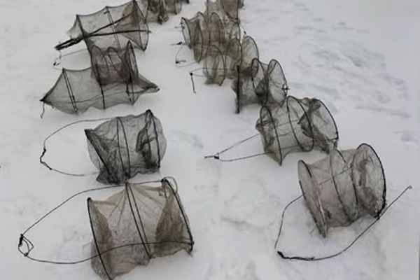 «пастка» для риби